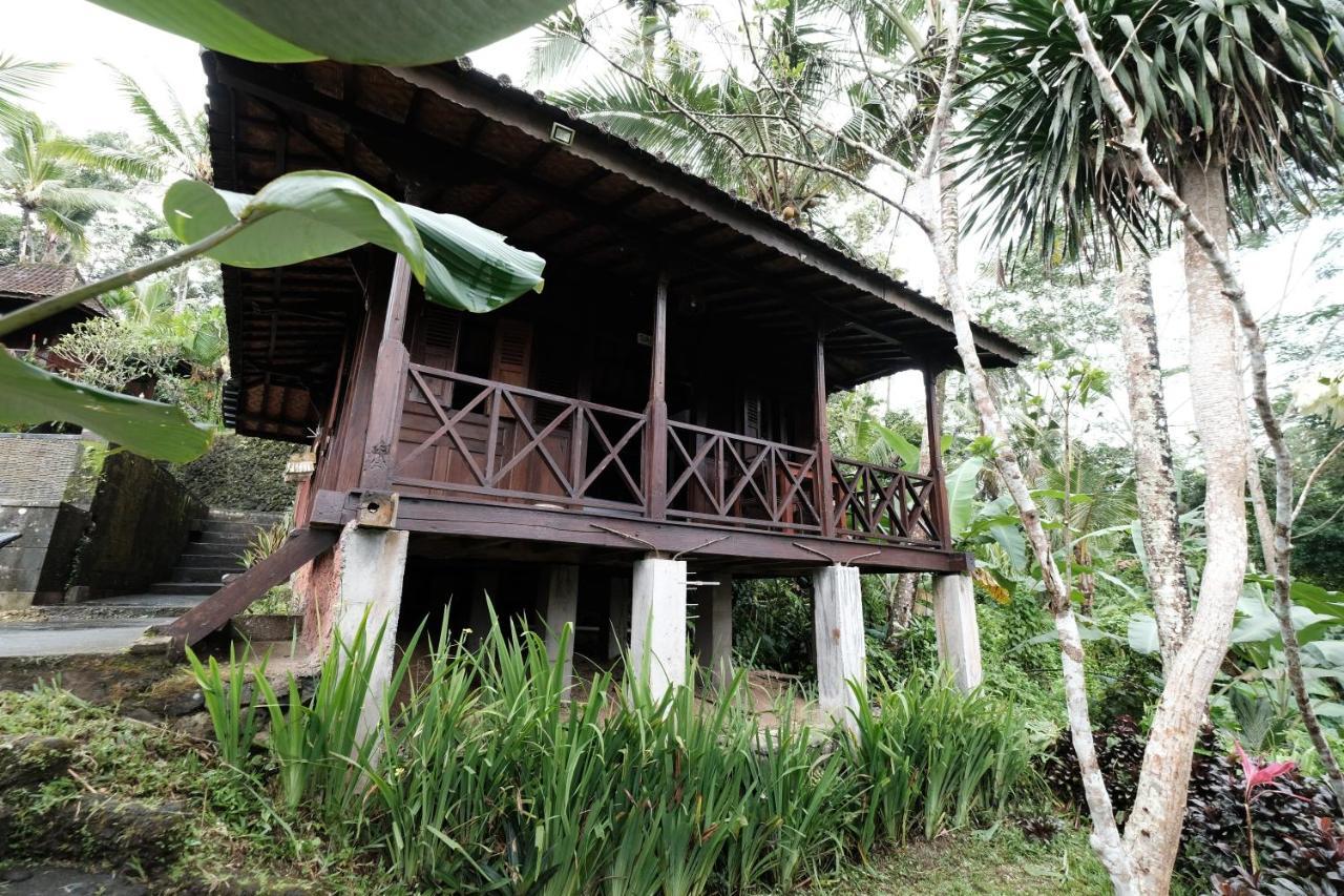 Ubud Jungle Holy Water Exterior photo