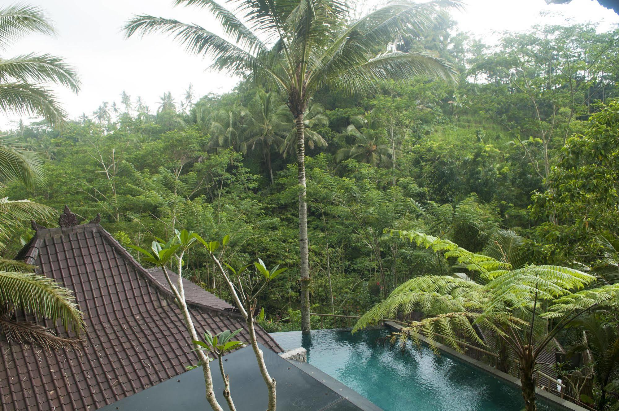 Ubud Jungle Holy Water Exterior photo